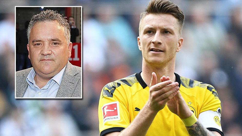 舍夫勒位列 舍夫勒位列