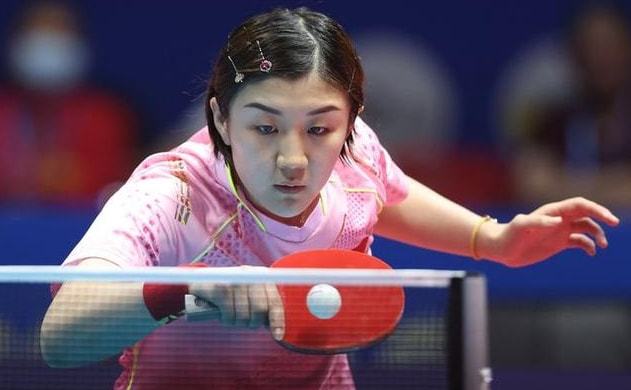 庭间的互动 庭间的互动