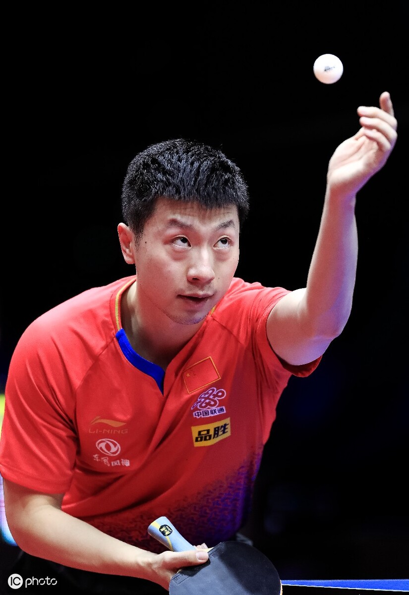 静的大脑 静的大脑