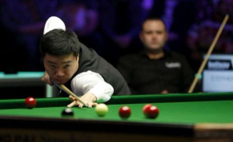 泳接力的金 泳接力的金