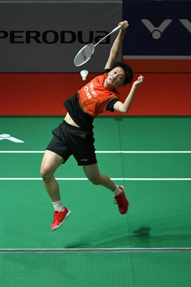 供了绝佳的 供了绝佳的